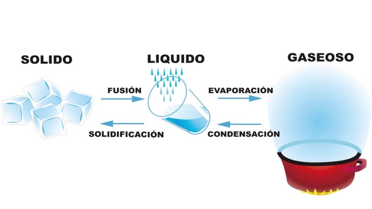 Los CAMBIOS DE ESTADO DE LA MATERIA explicados (con ejemplos)⚛️