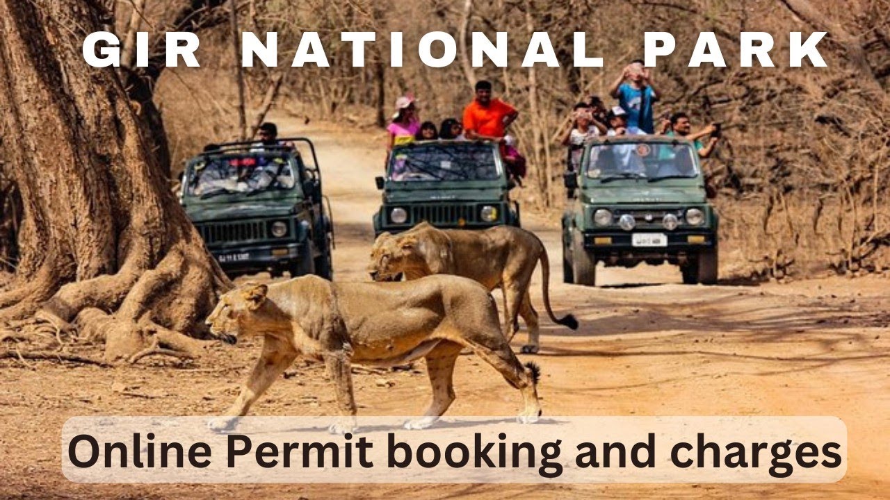 How To Book Gir National Park Safari Online | Gir Jungle Safari Charges