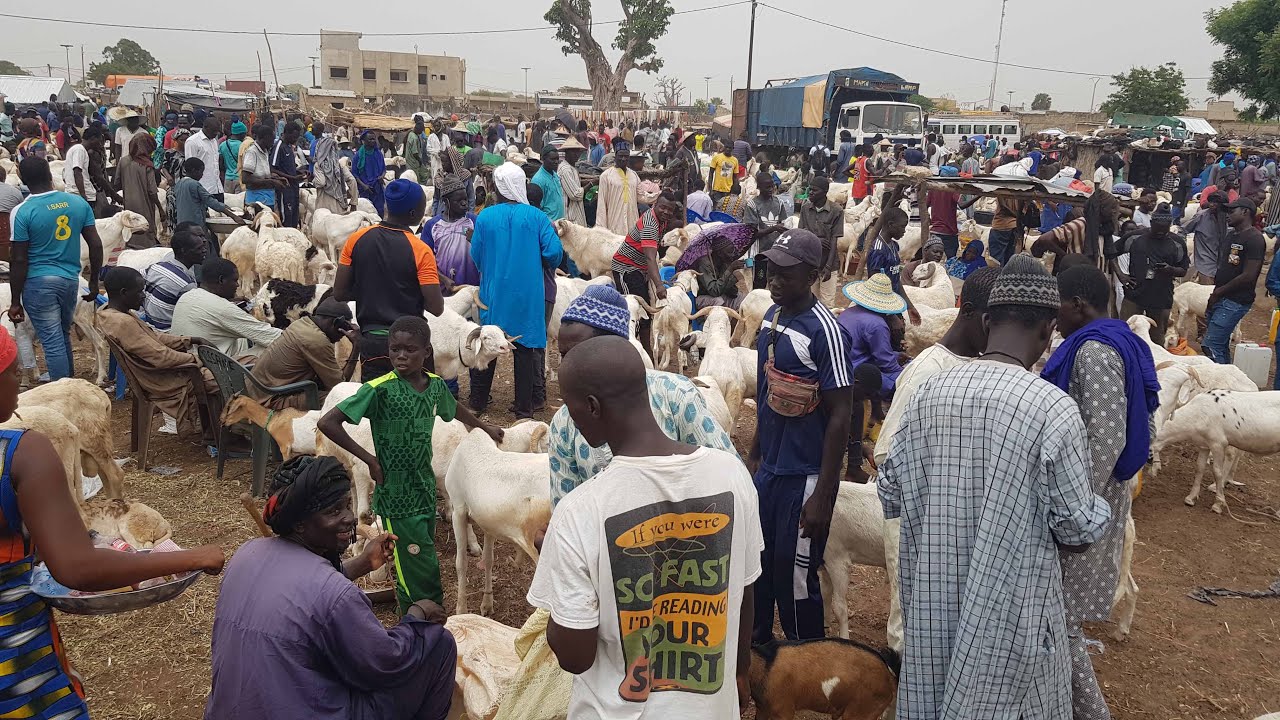 CAP SUR TABASKI LOUMA SANDIARA
