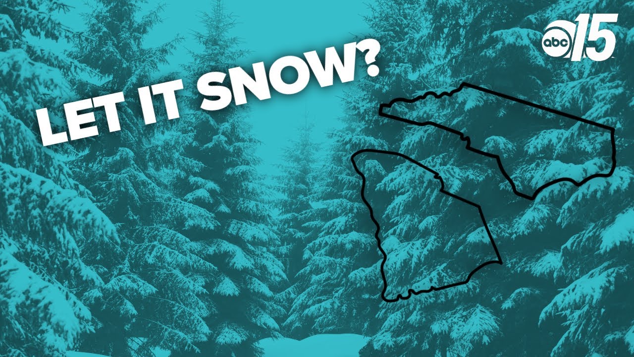 2 to 4 inches of snow possible in Myrtle Beach