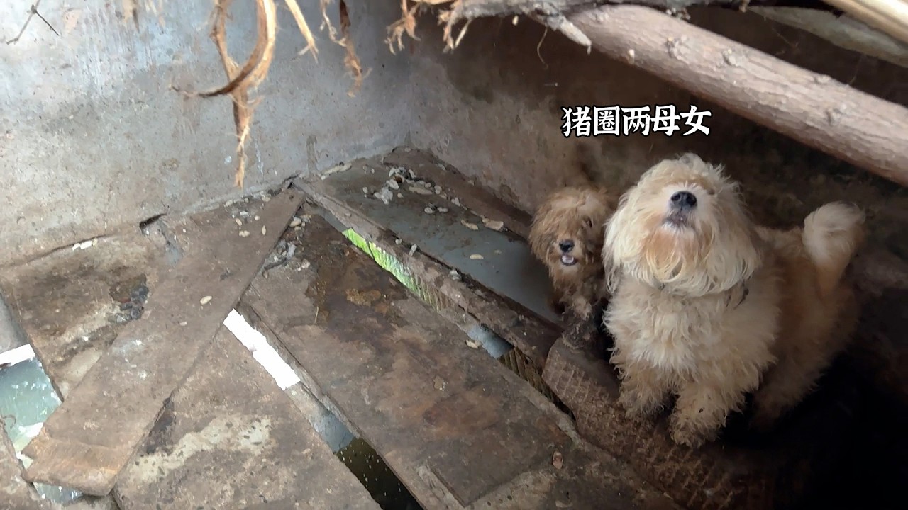 每个娃都是妈妈的心头宝