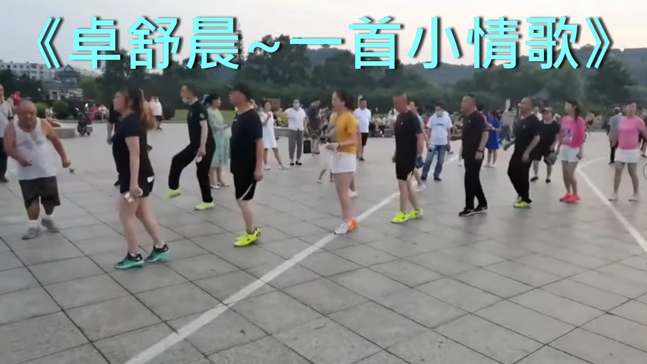 《一首小情歌》《卓舒晨》我的最爱精选歌曲分享《DJ完整版》吉林、广场鬼步舞、黑衣曳舞 Chinese Shuffle Dance 好看好听好学