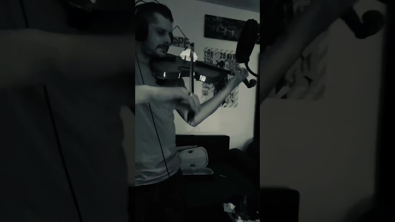 Ninho - La vie qu’on mène - Cover Violon / Mako Le Violoniste