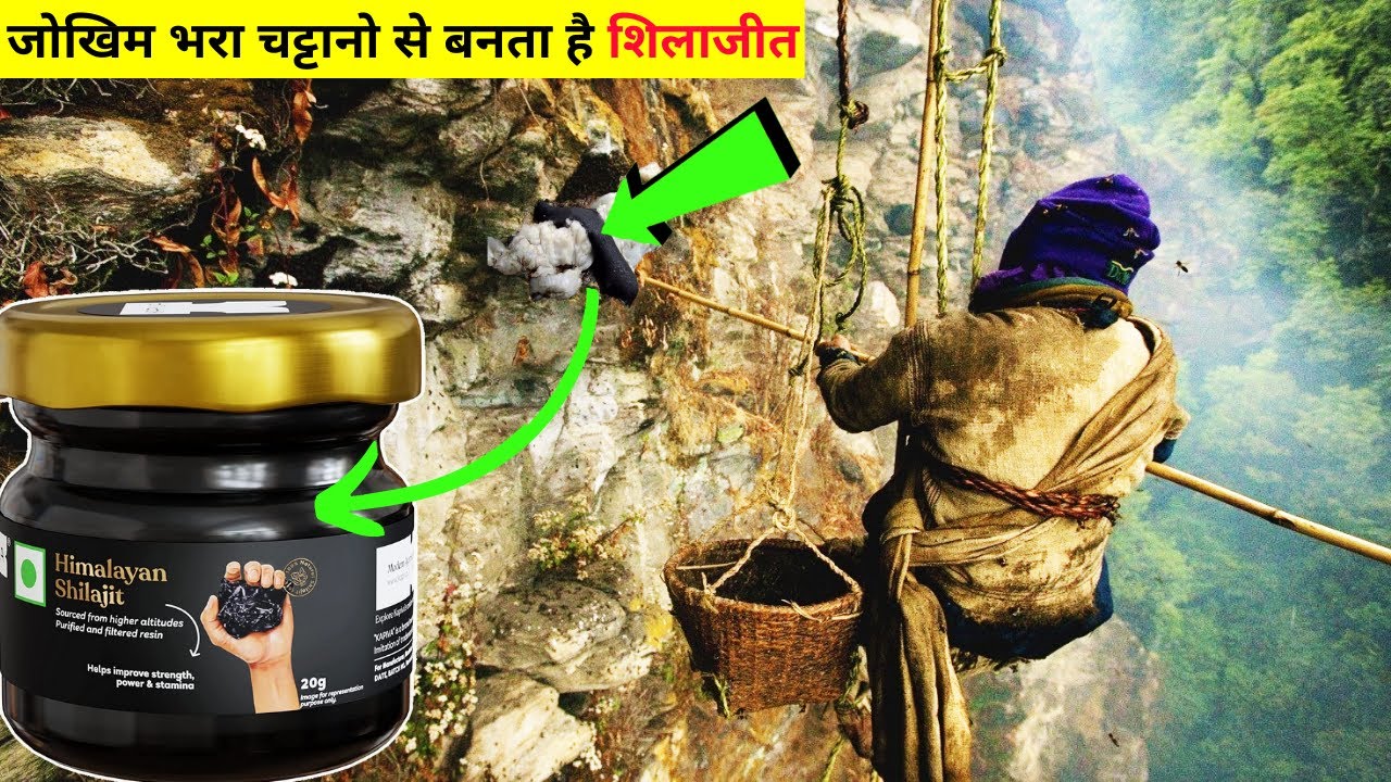 How is Shilajit cultivated How Shilajit Is Made | How is Shilajit made