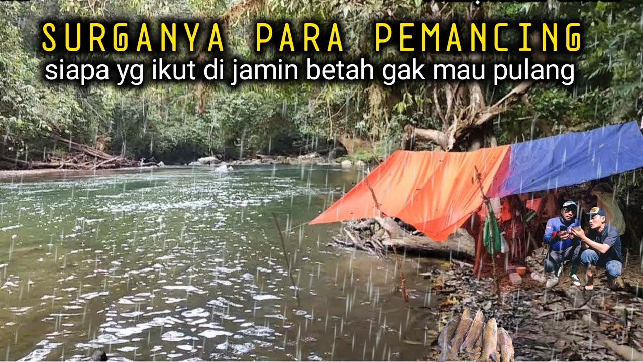 Mancing camping di spot andalan di guyur hujan deras dan panen ikan banyak