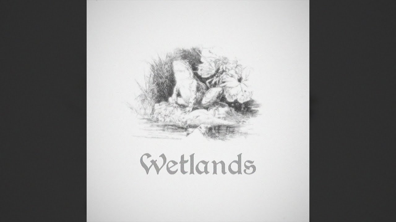 chlopczy – Wetlands