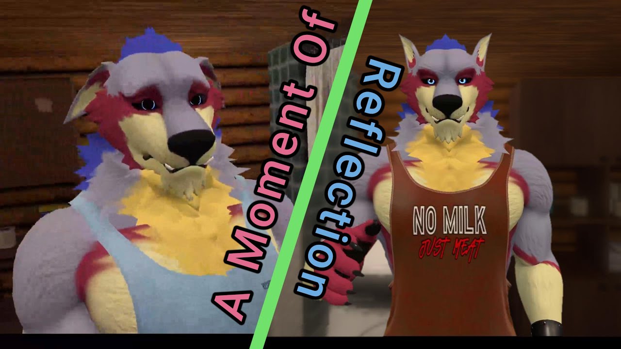Mirror Mirror 2: A Moment Of Reflection