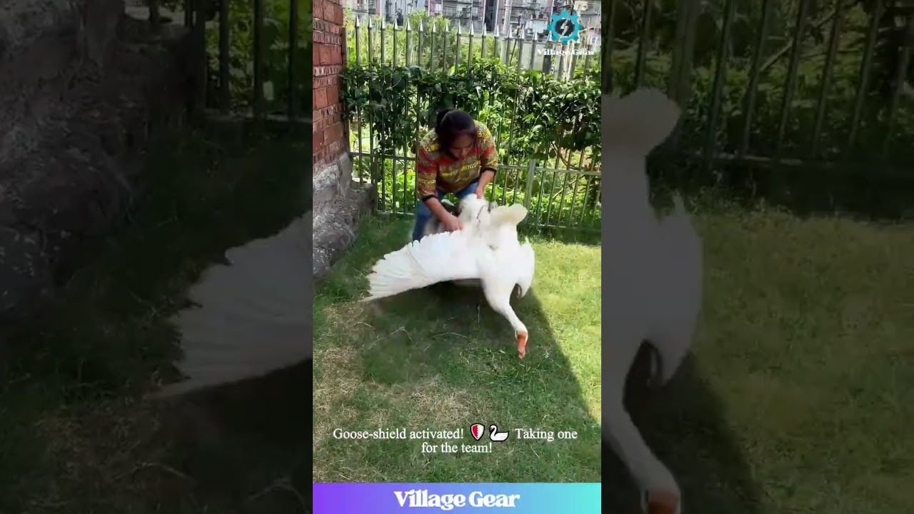 You HAVE to See This Epic Dog vs. Goose Showdown! 😂 The Ultimate Backyard Battle of the Century!