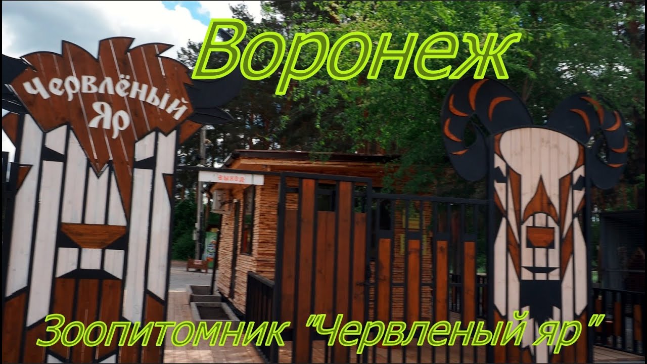 Воронеж, зоопитомник Червленый яр,. Zoo nursery 