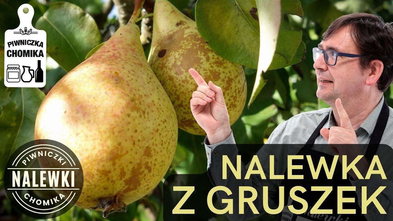 Nalewka z gruszek (gruszkówka). Smak, którego nie zapomnisz i wspaniała nagroda dla cierpliwych.