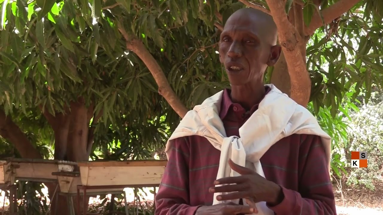 Production et transformation du miel au Niger