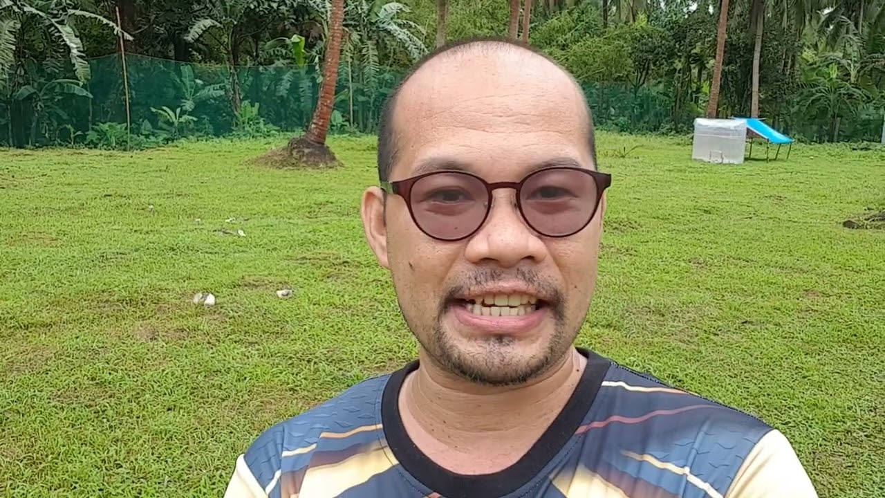 Pagpupurga ng Sisiw