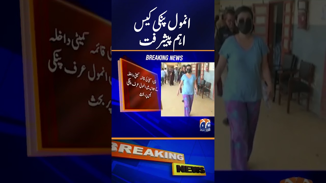 National Assembly Committee Discusses Anmol Pinky Case, Nabil Gabol Calls It Serious | Geo News