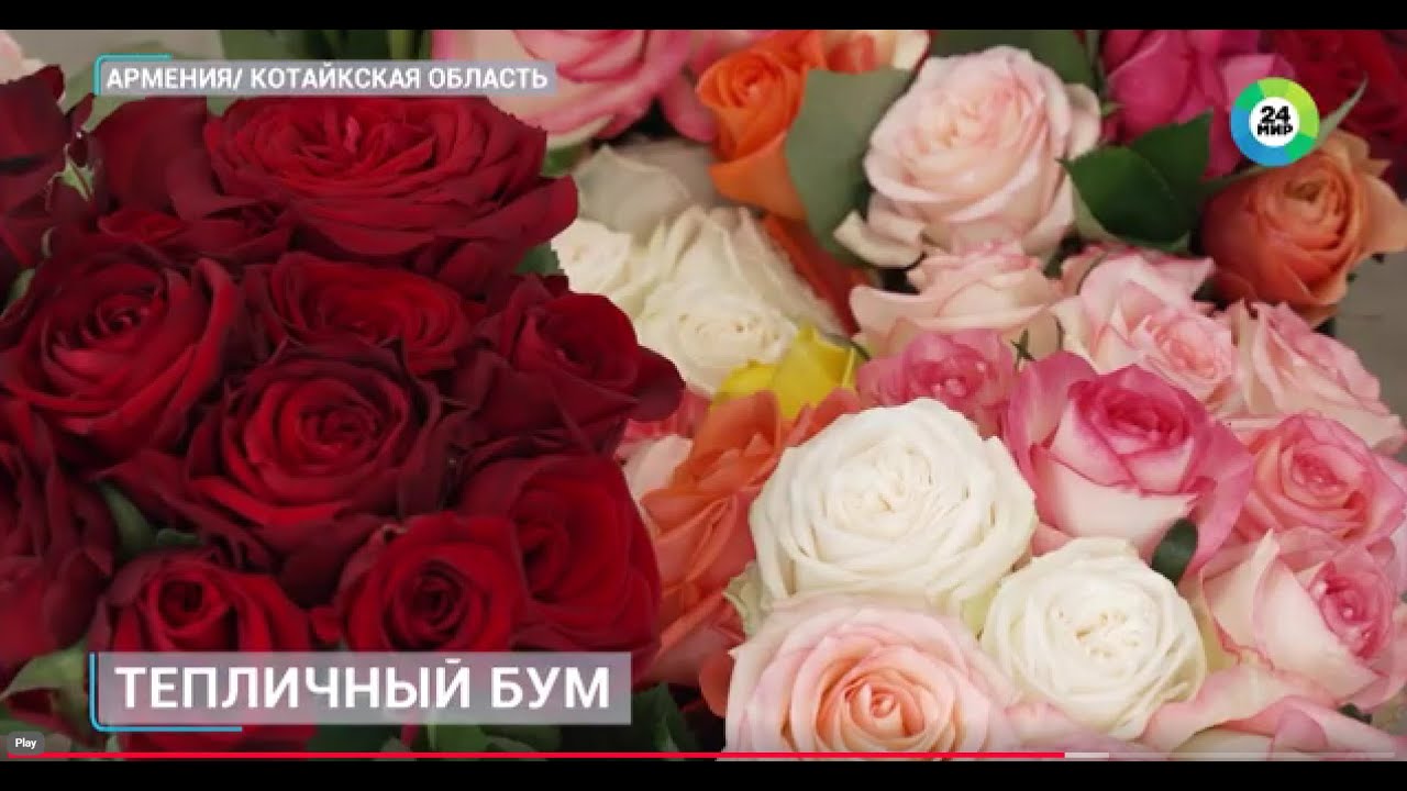 Тепличный бум в Армении