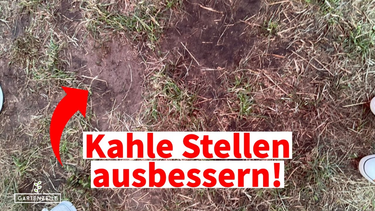 Kahle Stellen im Rasen ausbessern - Das sind die besten Tipps f&uuml;r deine Rasenreparatur- & pflege!