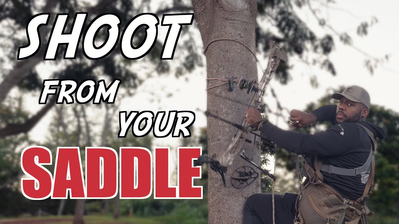 How to Practice Shooting Your Bow from a Tree Saddle | PLUS climbing pro tips!