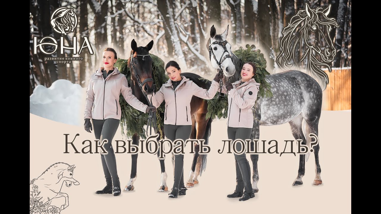 КАК ВЫБРАТЬ ЛОШАДЬ