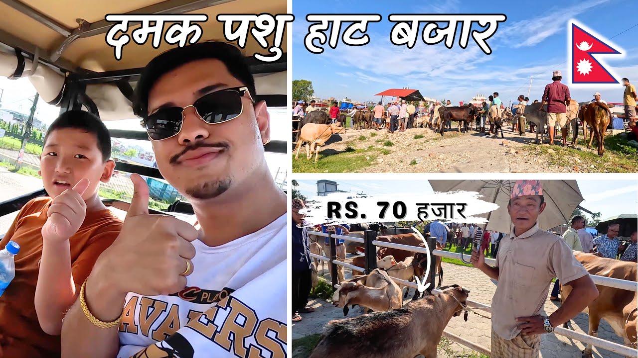 दमक पशु हाट: Nepal Ko Sabai Vanda Thulo Pashu Haat Bazaar? 🤔🇳🇵