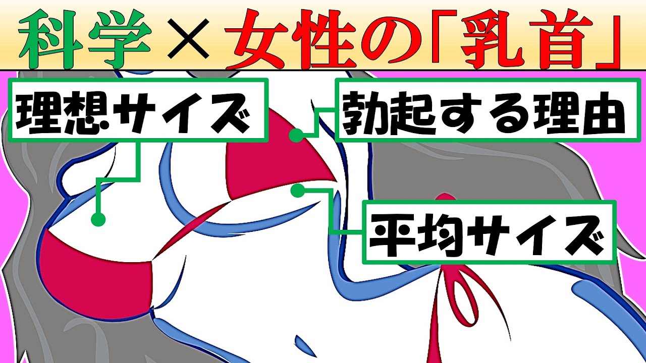 【カラダを知ろう】女性のアレについて徹底科学【豆知識4選】