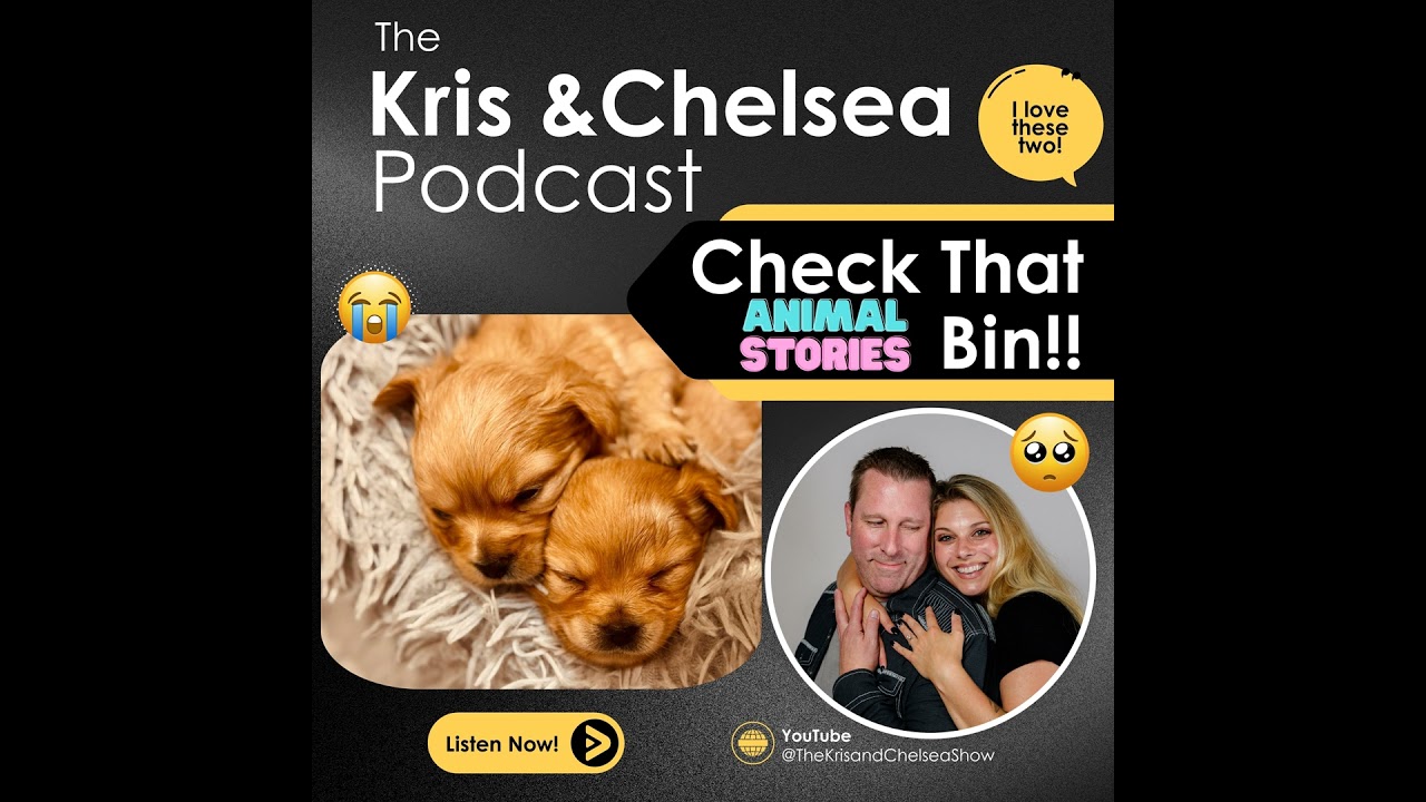 Animal Stories: Check Those Bins!!