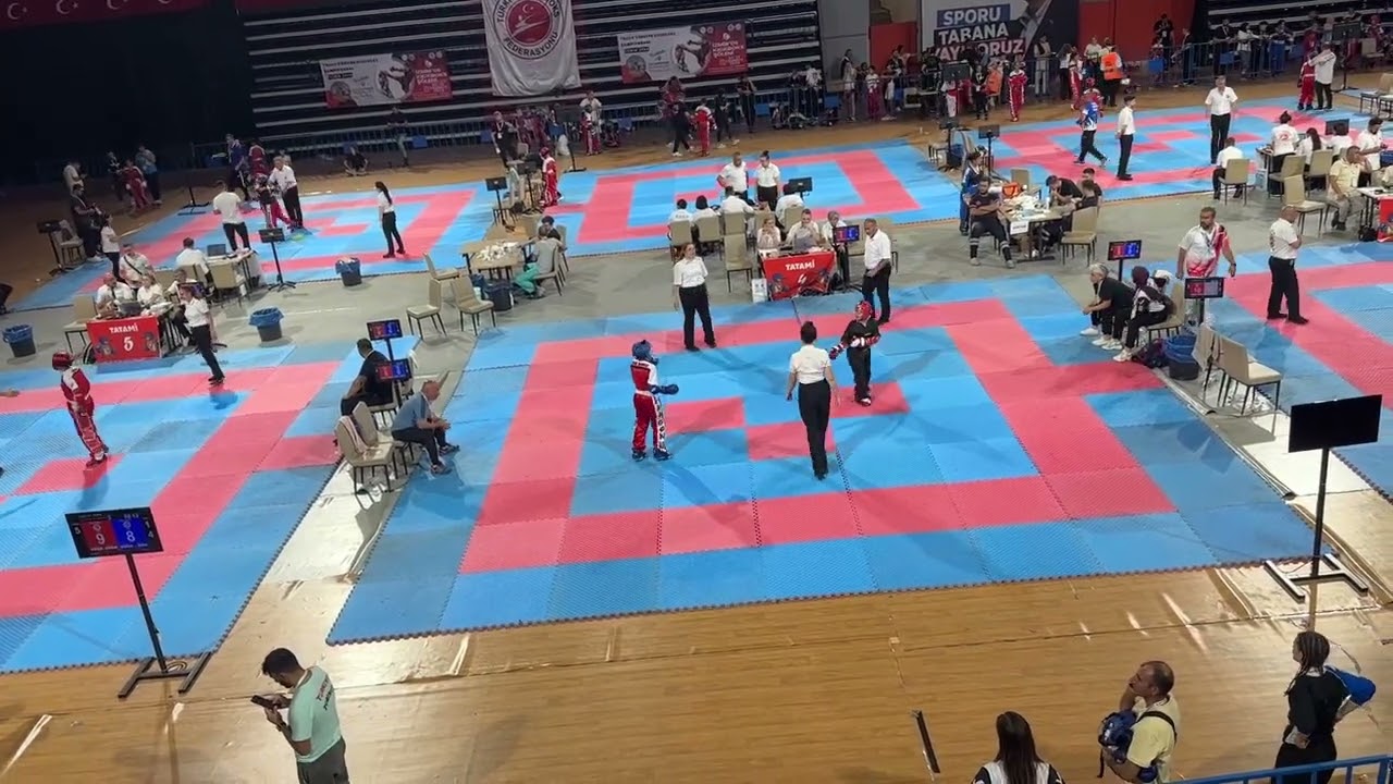 Türkiye point kick boks şampiyonası