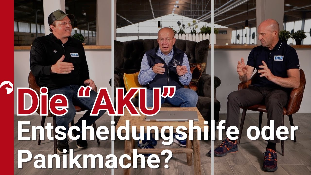 R&ouml;ntgen wir unsere Pferde kr&auml;nker als sie sind? Was z&auml;hlt wirklich in der Ankaufsuntersuchung?
