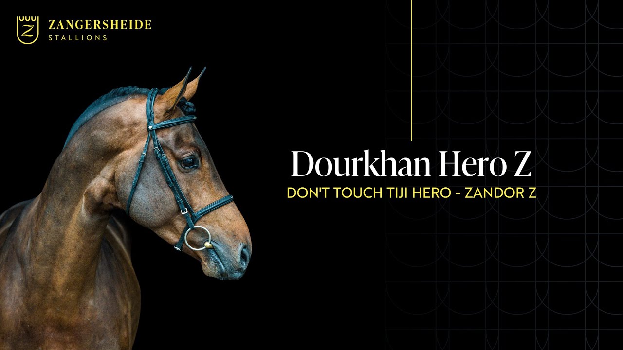 Dourkhan Hero Z - Stallion Presentation 2025 ENG