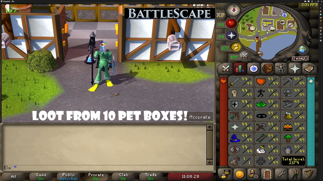 Loot From 10 Pet Boxes - BattleScape RSPS