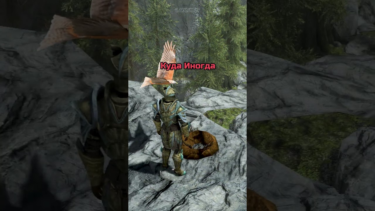 Локация Для Полётов В Скайриме #игры #скайрим #skyrim #shorts