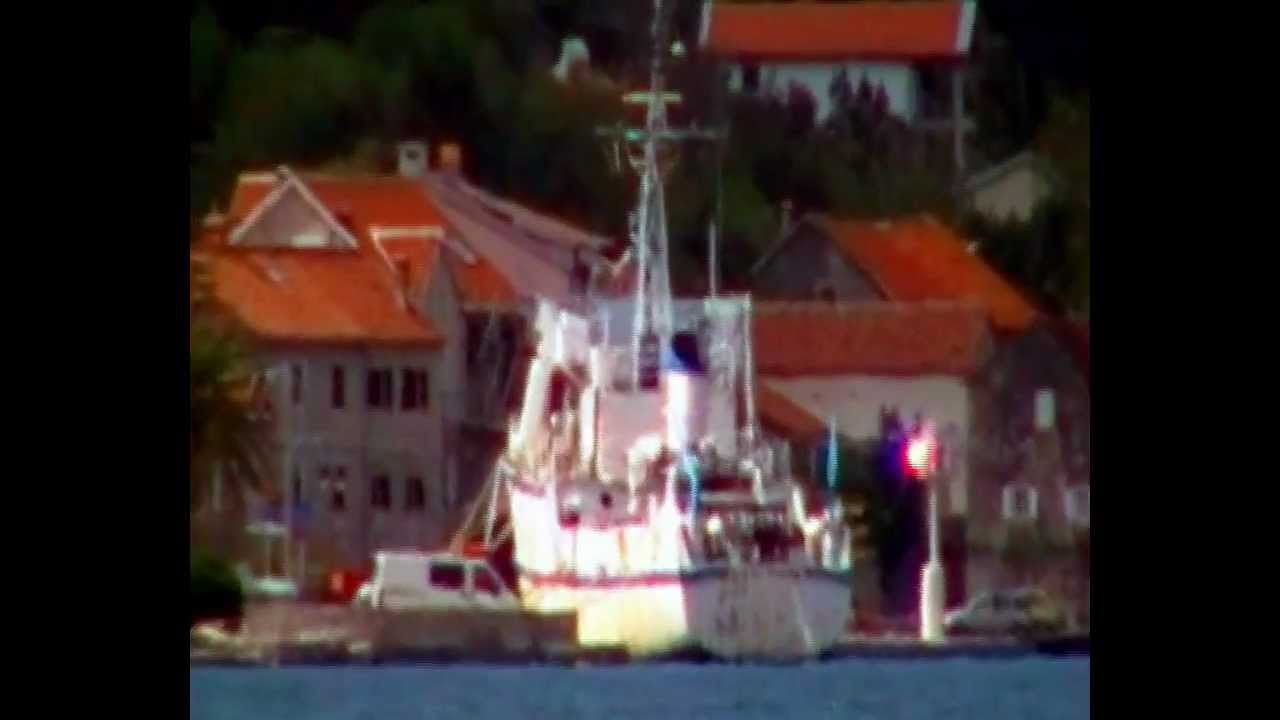 LM-153 &bdquo;Blitvenica