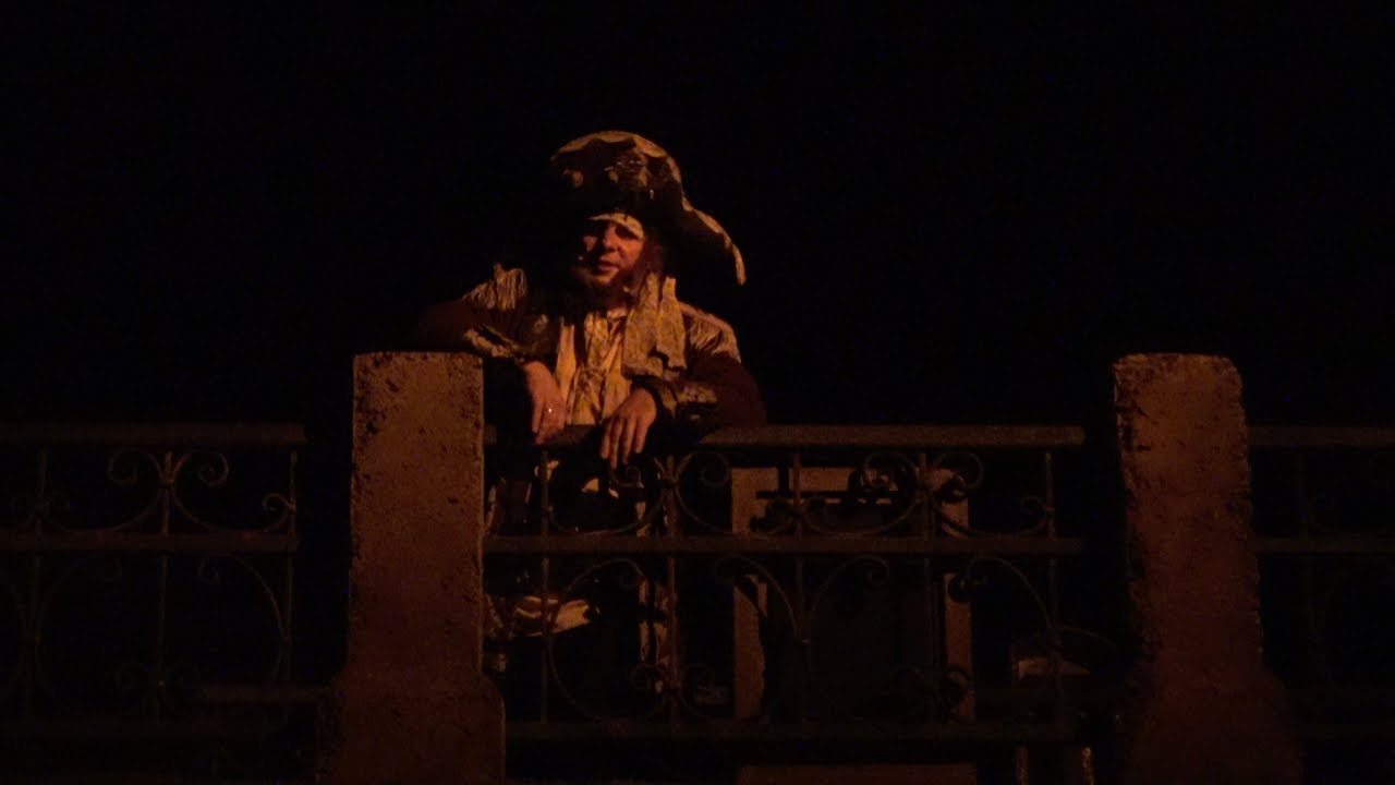 Pirates of the Caribbean w/ Live Actors 