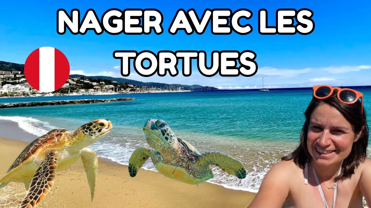 #88 NAGER AVEC LES TORTUES - Arrivée en Équateur