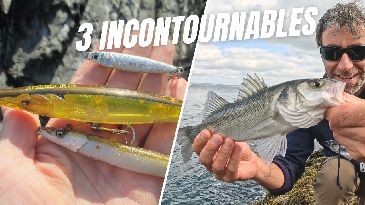 PÊCHER FACILEMENT DU POISSON EN BRETAGNE PENDANT L'ÉTÉ : 3 LEURRES INCONTOURNABLES !