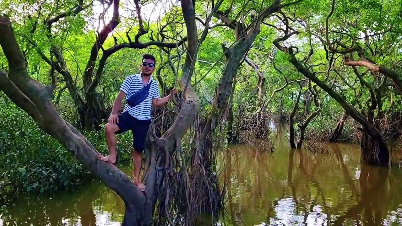 Beautiful view of Sylhet..Rinku Roy