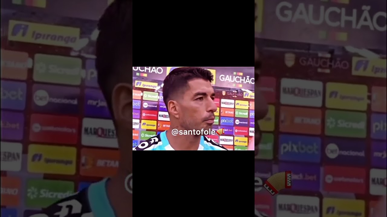 VAI CONHECER BANDINHA E BERGAMOTA! 😂😂#suarez #shorts #santofole