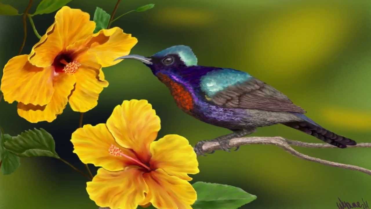 Coração do Mundo ~Bettina Maureen Ji & Amu Ahava