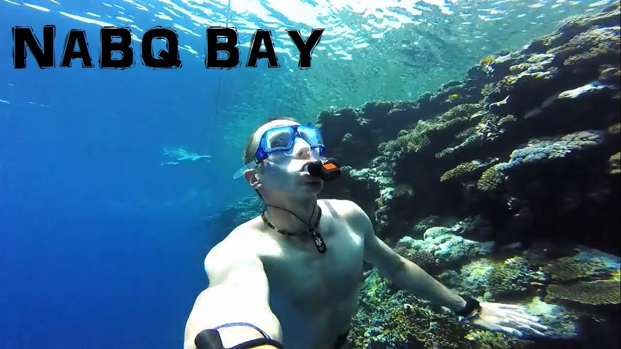 Snorkelling off Nabq Bay beach reef, Sharm El Sheikh