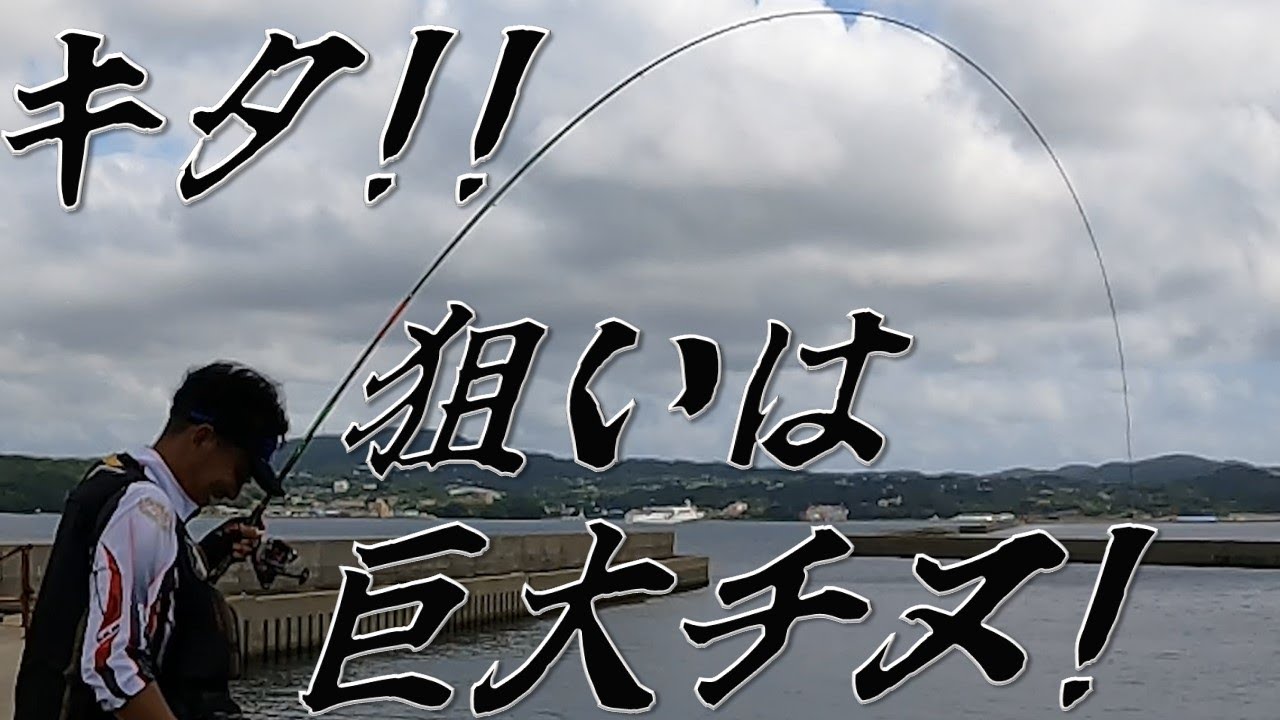 長崎県　壱岐切れ波止、防波堤での実釣!!