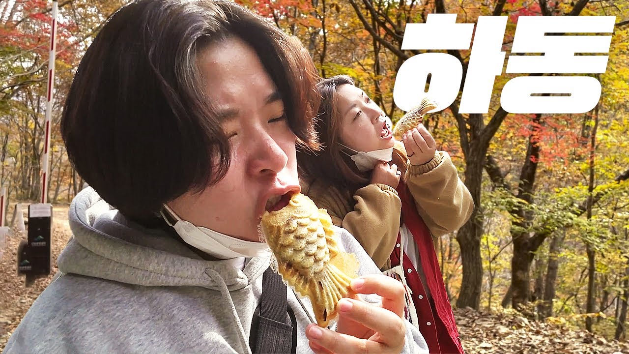 #4 단풍구경 가서 붕어빵만 먹고 내려오는 브이로그🐟  다슬기수제비 / 장모님치킨 / 피아골 / 하동여행