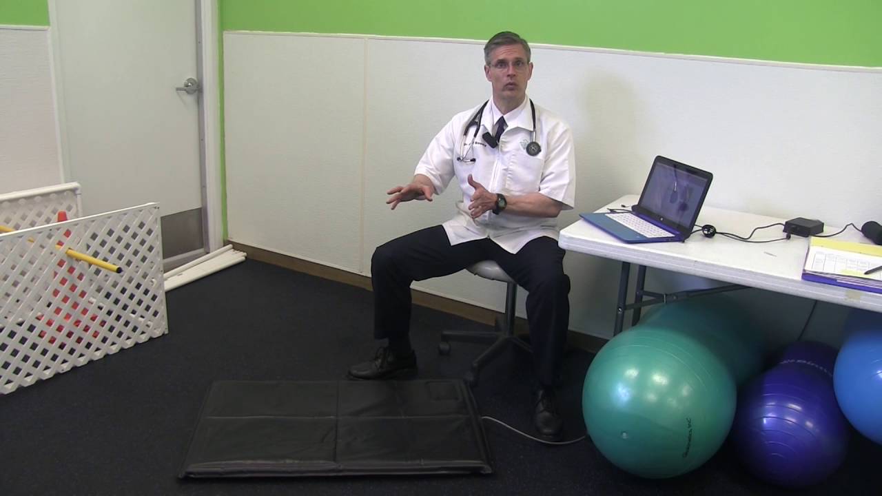 Implementing the Companion Stance Analyzer - Steps for Success