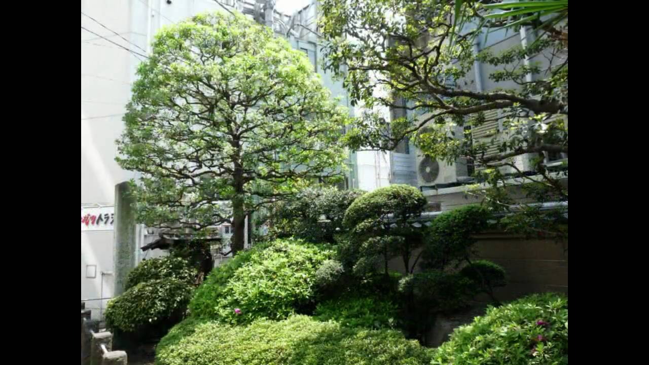 Singapore & Japan 2009