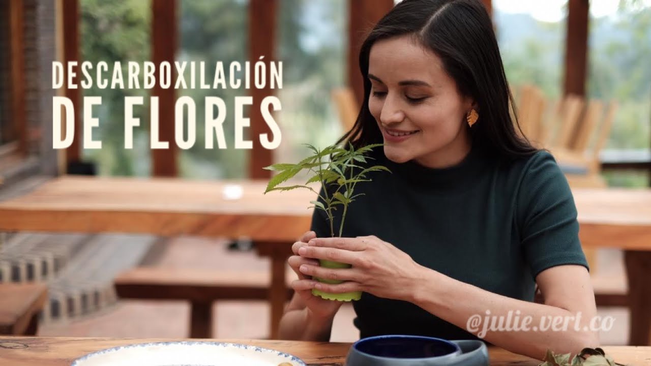 Descarboxilaci&oacute;n