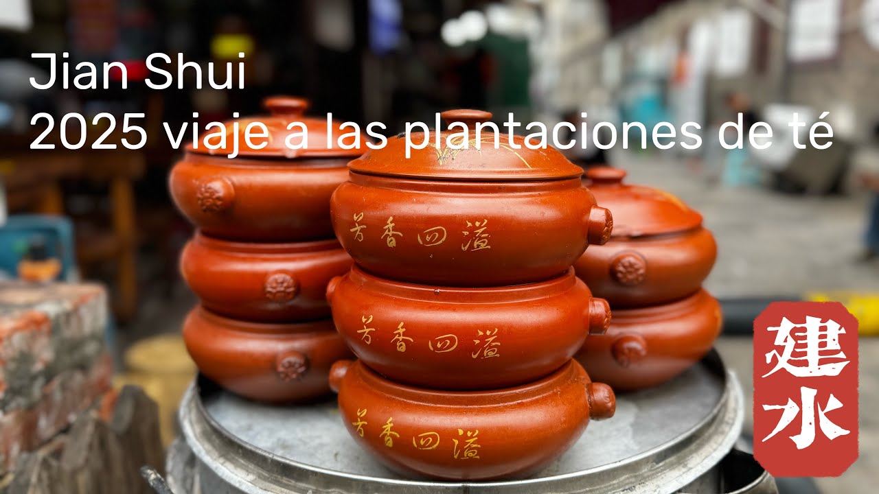 ¿Qué ver en Jianshui? | 2025 viaje a las plantaciones de té