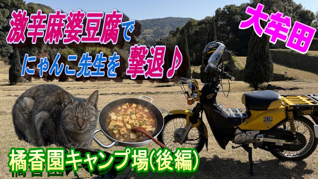 【六十路ライダー】(234）激辛麻婆豆腐でにゃんこ先生を撃退♪（橘香園キャンプ場ｰ後編）