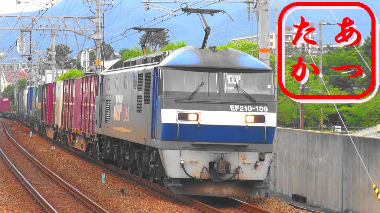 【貨物は朝見るのに限る！】早朝高速貨物列車集！ 東海道本線さくら夙川駅 high speed freight train