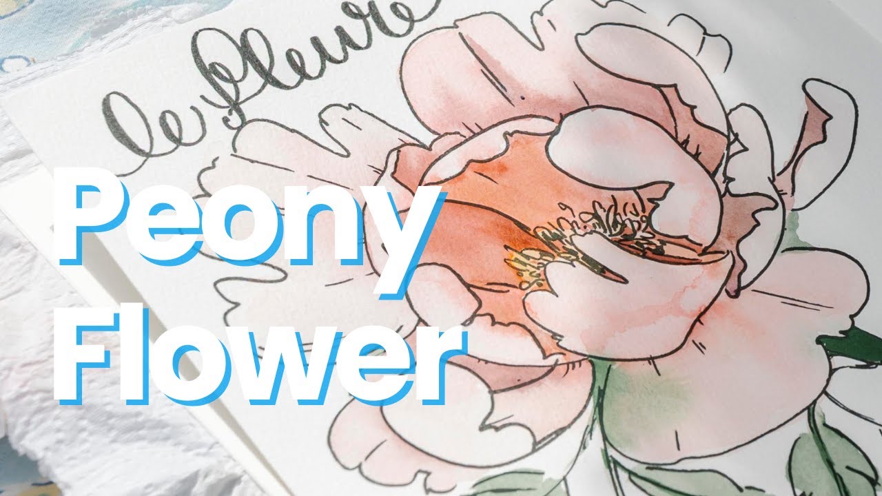 Урок по рисованию пионов акварелью | Волшебство «мокрым по мокрому» с моими любимыми кистями
