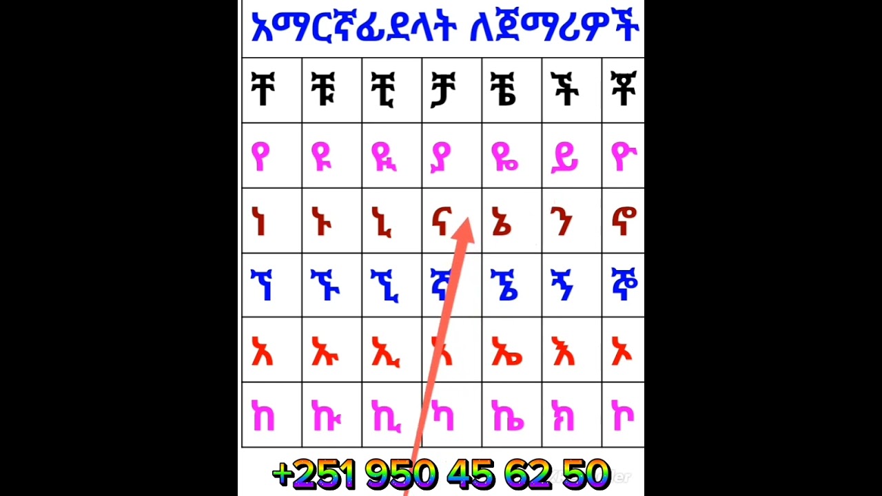 6 January 2026