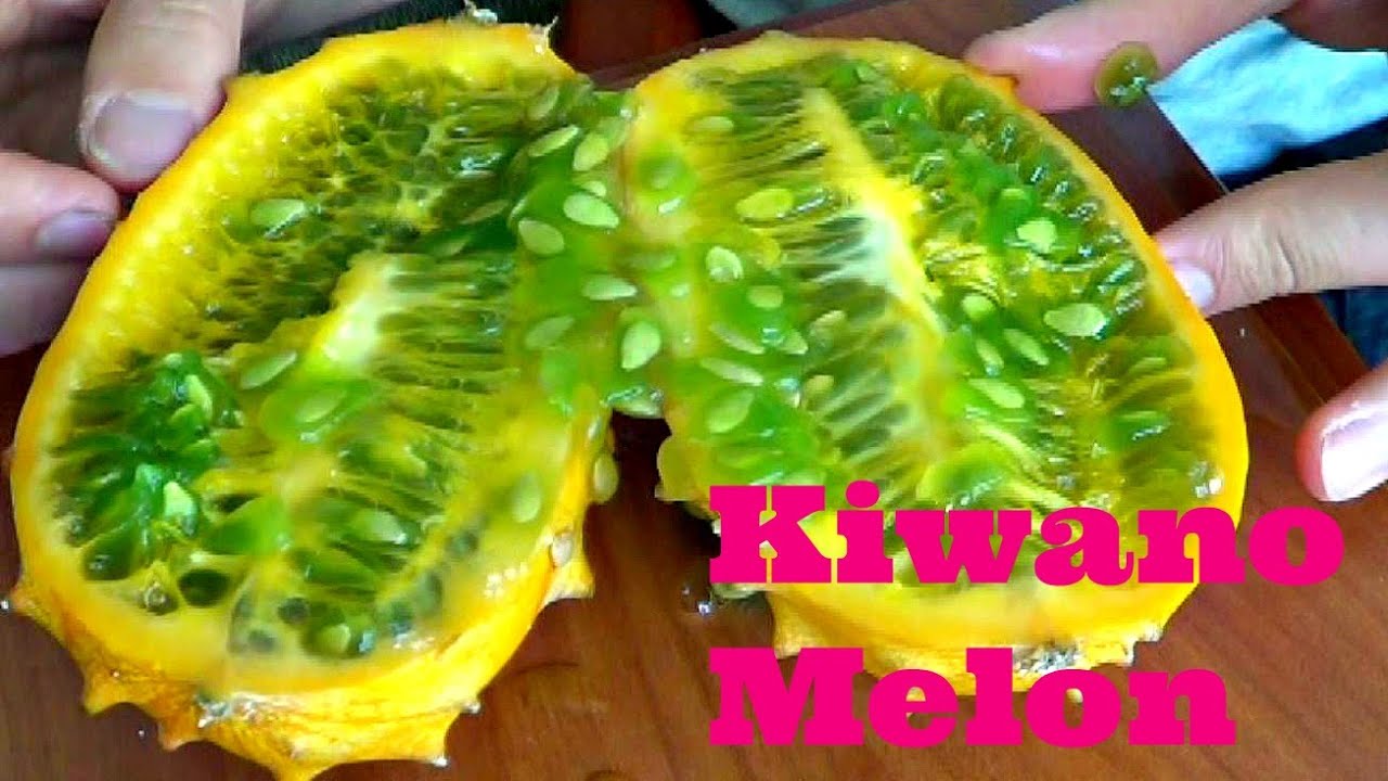 Обзор дыни Kiwano — Weird Fruit Explorer, выпуск 120