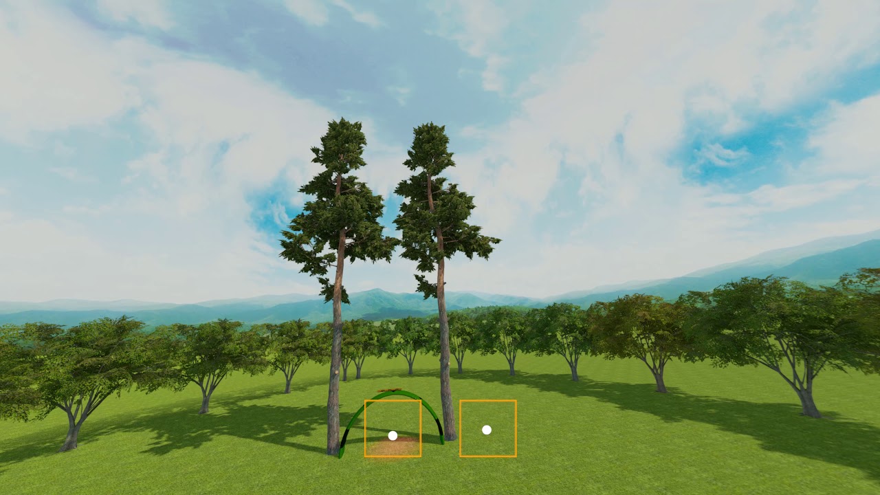 Flight Training - Proximity Flip