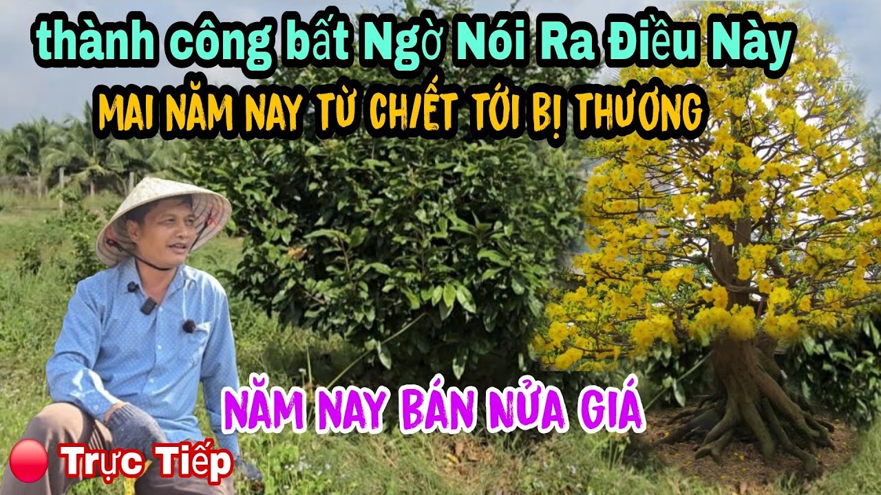 Bất Ngờ Vườn Mai